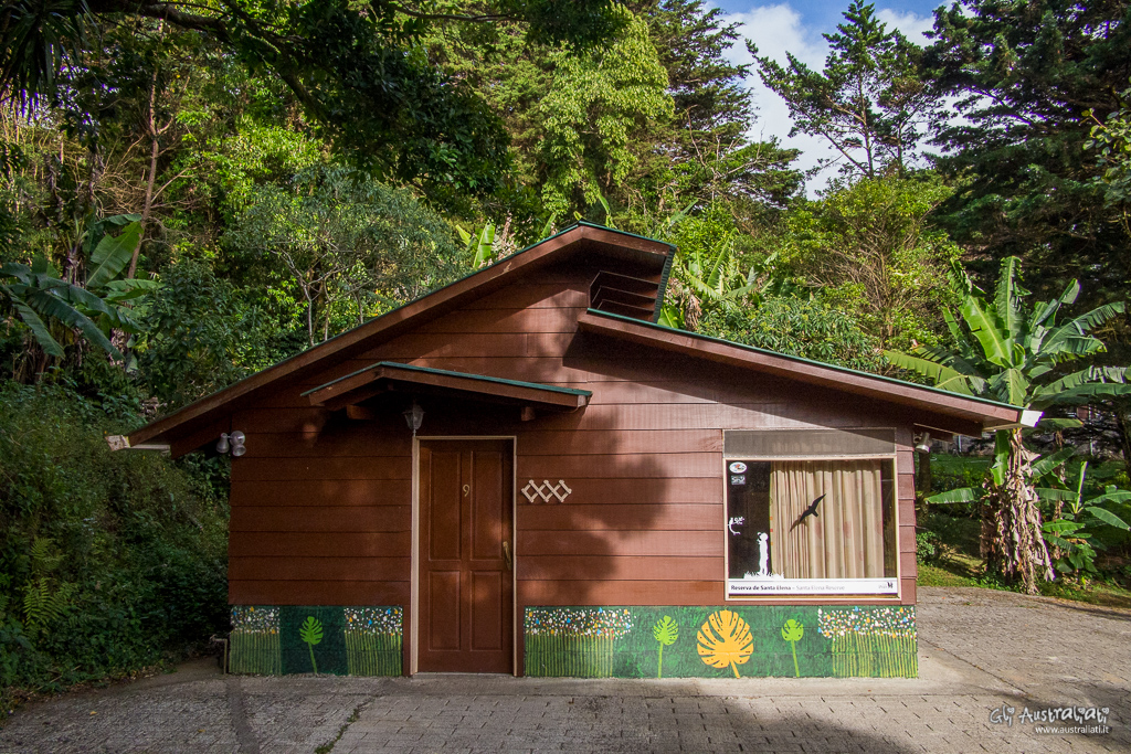 Los Pinos - Monteverde - Costa Rica