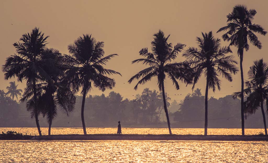 Le incredibili Backwaters del Kerala